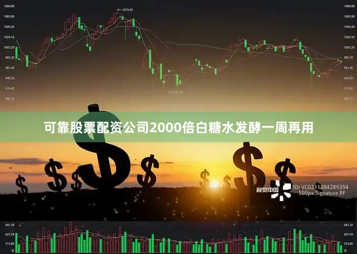 可靠股票配资公司2000倍白糖水发酵一周再用